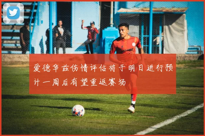 爱德华兹伤情评估将于明日进行预计一周后有望重返赛场