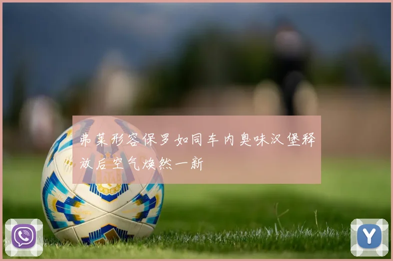 弗莱形容保罗如同车内臭味汉堡释放后空气焕然一新