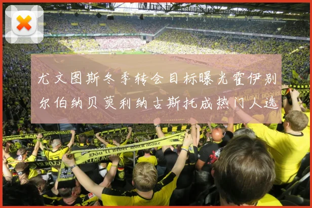 尤文图斯冬季转会目标曝光霍伊别尔伯纳贝莫利纳古斯托成热门人选