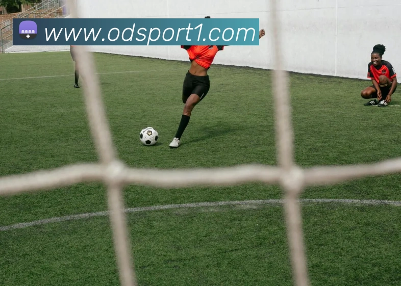 App Interface Preview