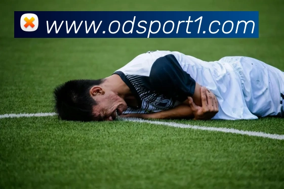 OD体育APP 封面图