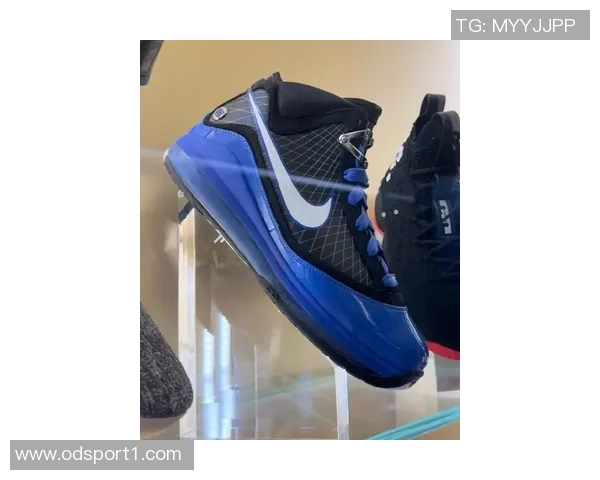 球鞋媒体曝光詹姆斯众多未发售Sample鞋款引发球迷热议 球鞋媒体曝光詹姆斯众多未发售Sample鞋款引发球迷热议