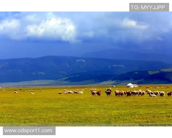 半岛都市报:新疆男篮状态平平今晚雄鹰力争首次突破天山高峰 半岛都市报:新疆男篮状态平平今晚雄鹰力争首次突破天山高峰