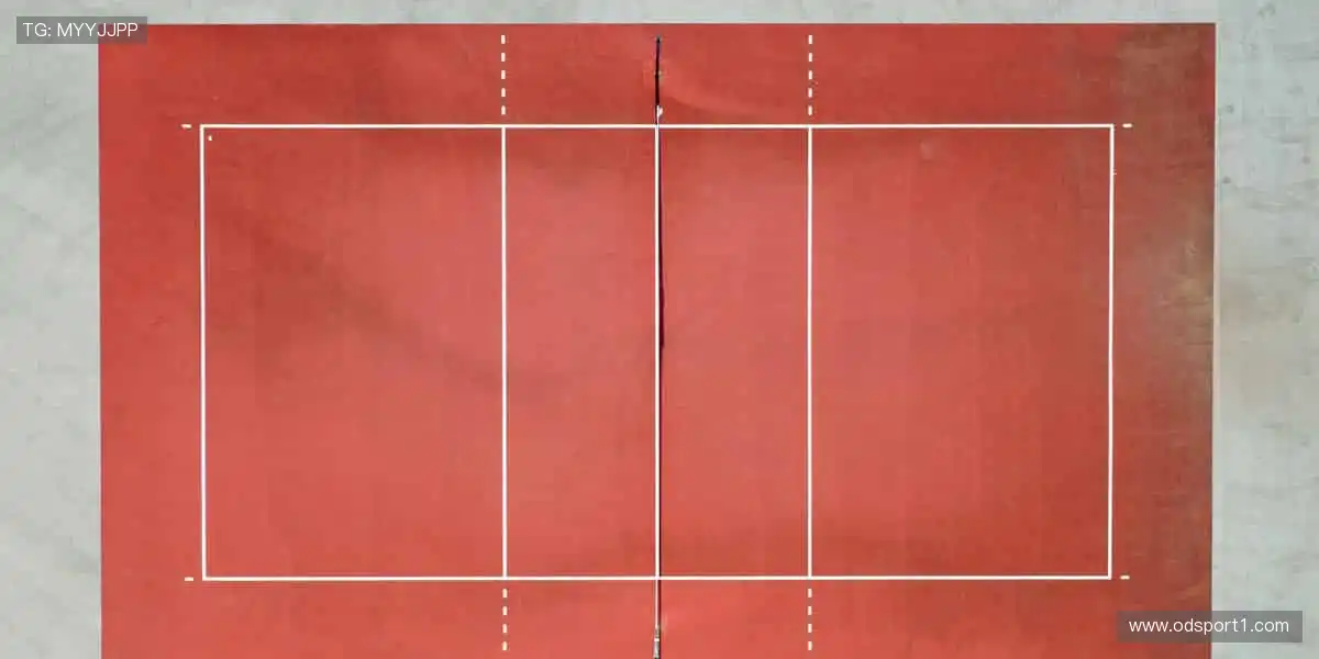 体育盛宴，尽在眼前！🎉